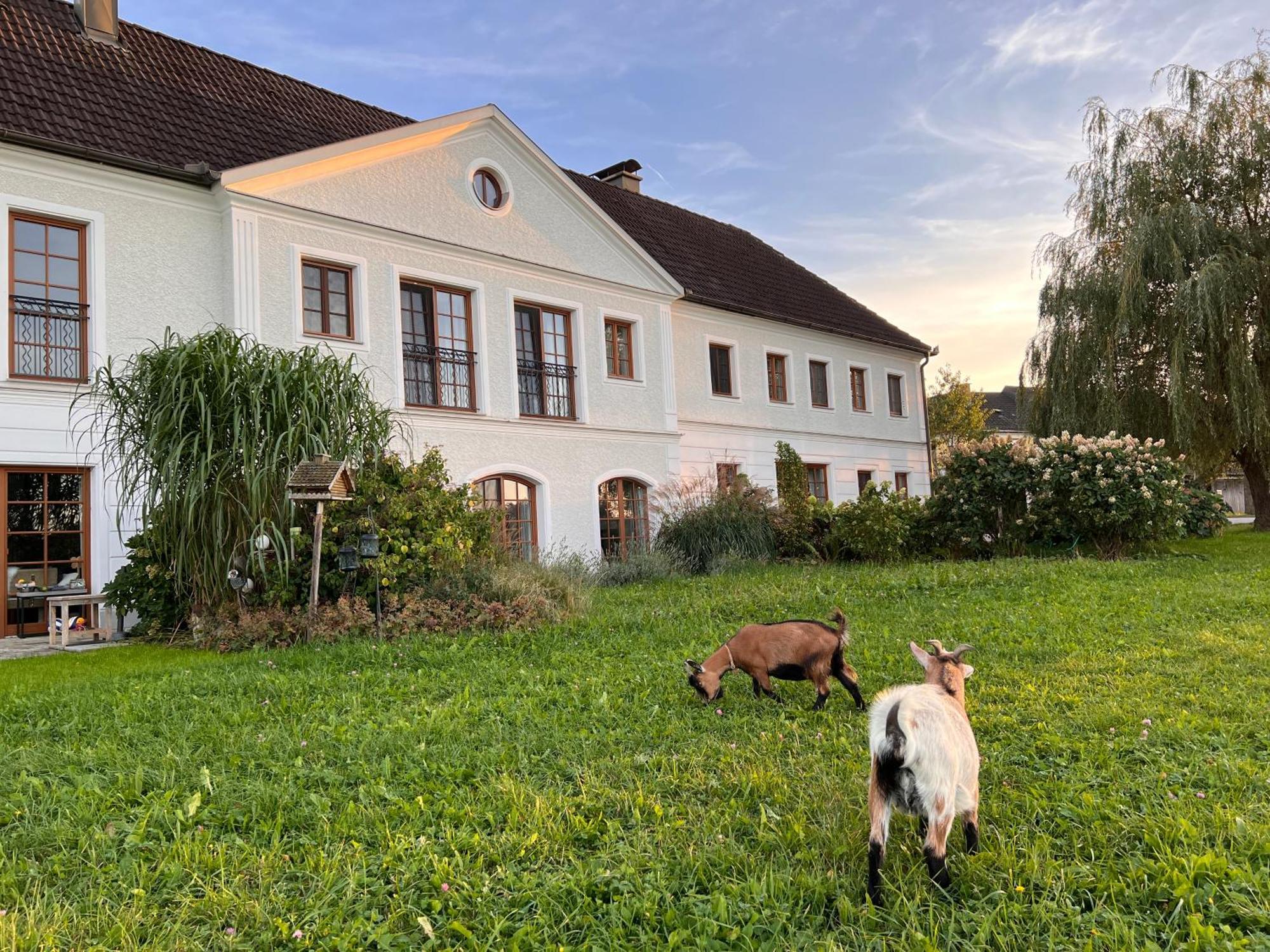 Landhaus Aigner Allhartsberg المظهر الخارجي الصورة